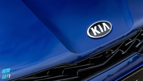 年度汽車可靠性排名生變，銷量王者緣何淪為質量洼地？